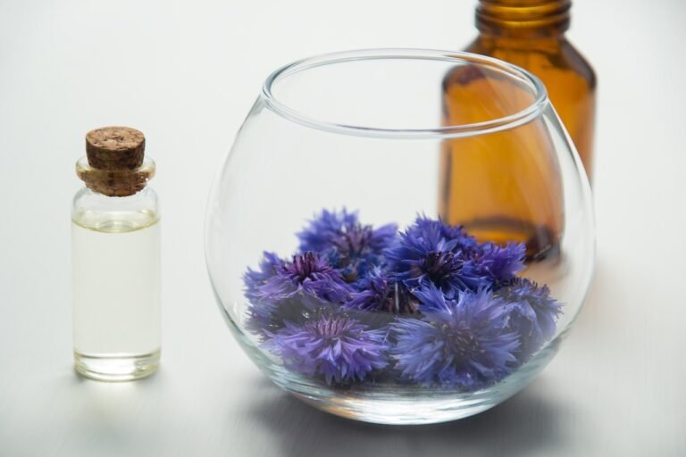 Plantas medicinales: beneficios