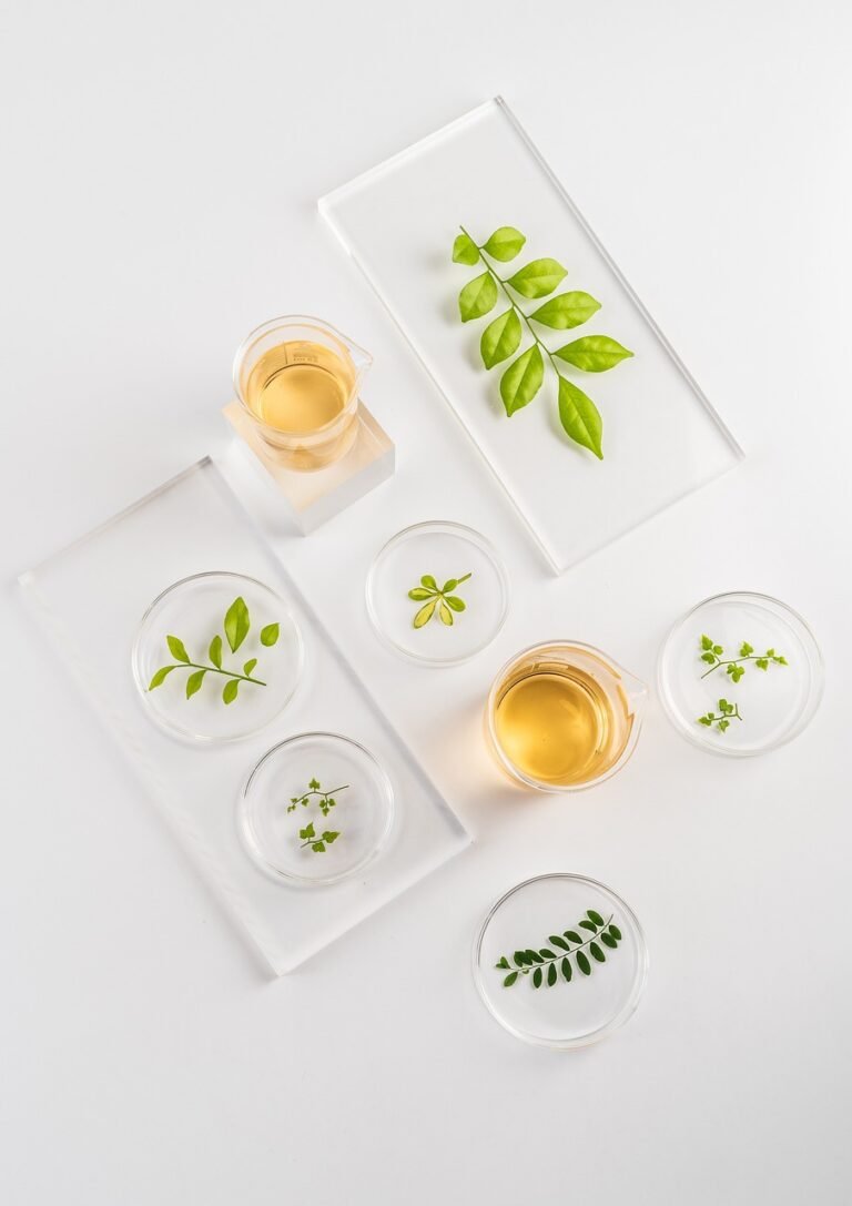 Top 20 plantas medicinales: descubre sus beneficios y usos en la salud